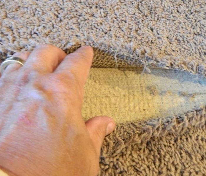 Delaminated Carpet