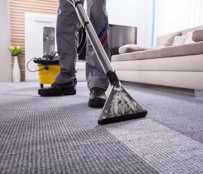Professional cleaning a carpet